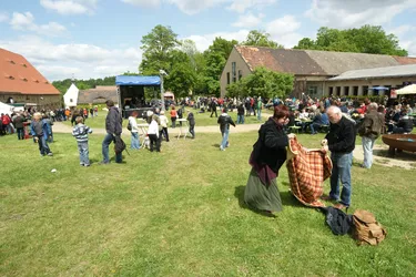 Blues & Rock Festival Altzella 2012(2).jpg