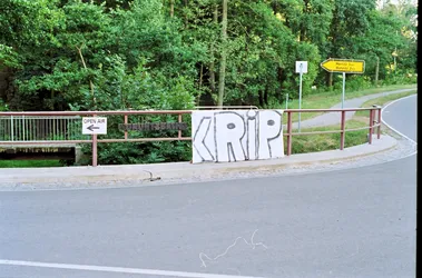2003_RiPL_030.jpg
