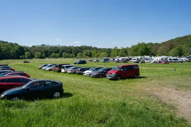 DSC01231.jpg