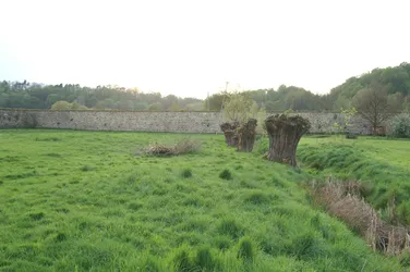 Altzella_2008_0819.jpg