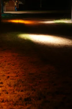 DSC02331.jpg