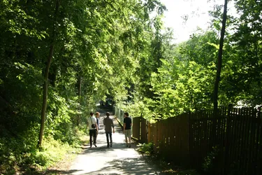 DSC04212.JPG