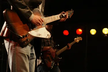 Blues & Rock Festival Altzella 2012(7).jpg