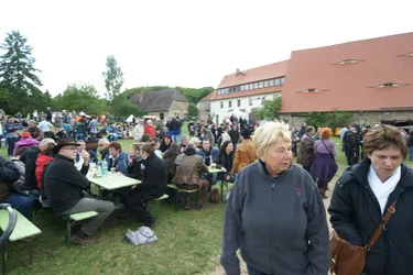 DSC01034.jpg