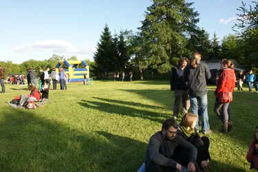 DSC01354.jpg