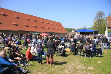 IMG_6146.jpg