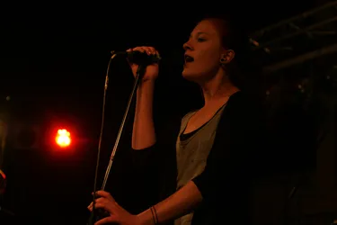 DSC02051.jpg