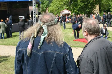 Blues & Rock Festival Altzella 2012(3).jpg
