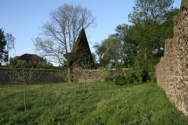IMG_1874.jpg