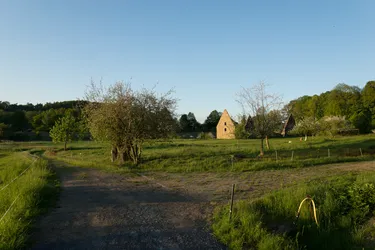 DSC04295.jpg