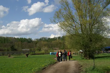 Altzella_2008_0217.jpg