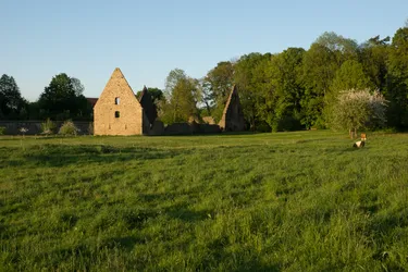 DSC04296.jpg